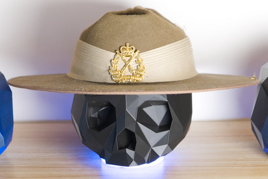 Skull Hat Display Stand | Low Poly 3D Printed Skull with LED RGB Base